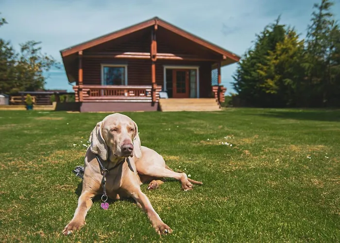 Strathisla - Luxury Two Bedroom Log Cabin With Private Hot Tub & Sauna