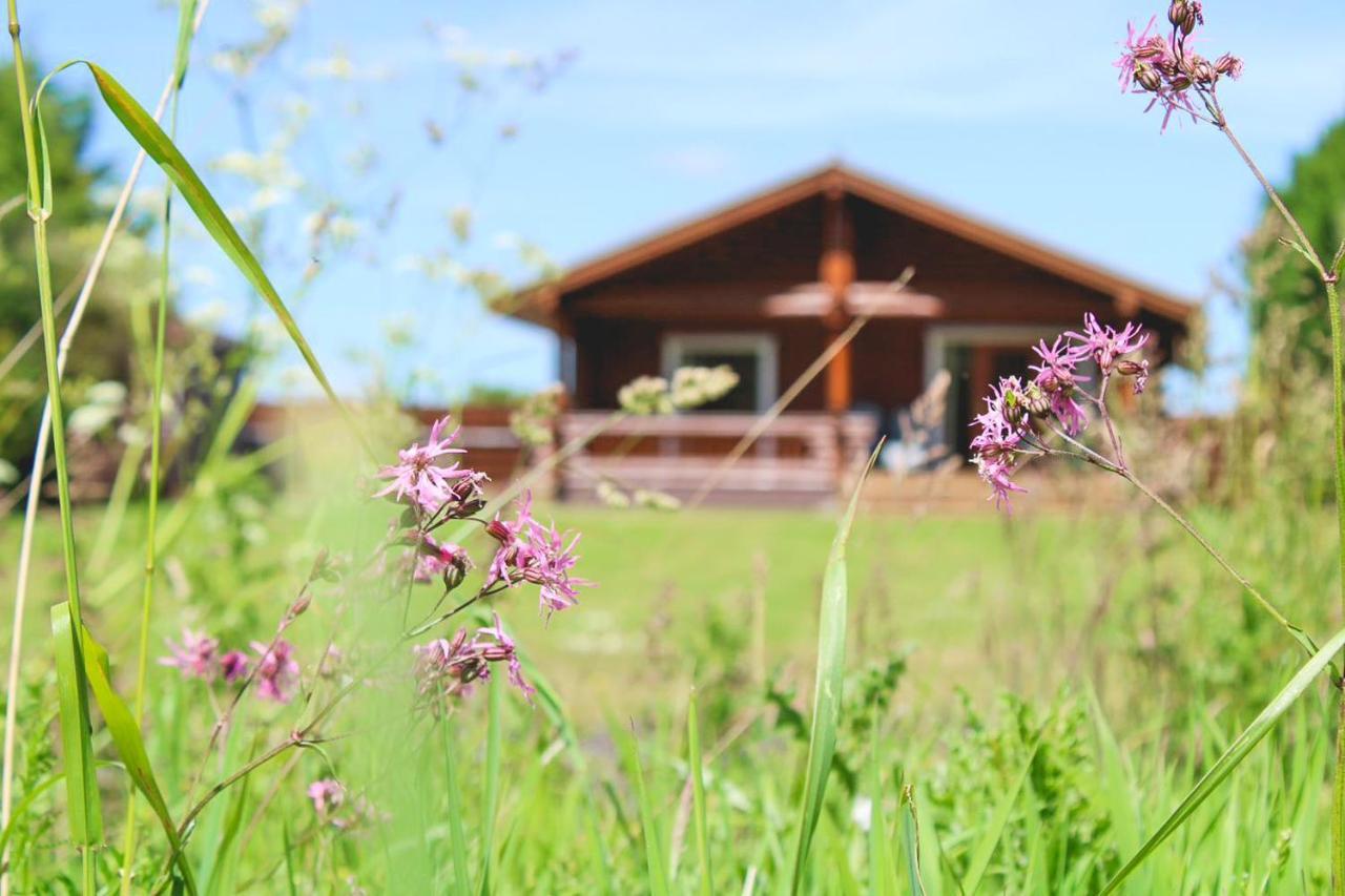 Chalet Strathisla - Luxury Two Bedroom Log With Private Hot Tub & Sauna